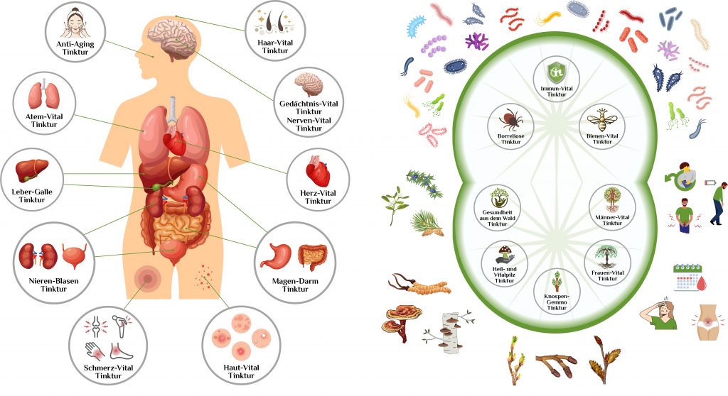 activeMedicus PraNatu Medizin zum Selbermachen