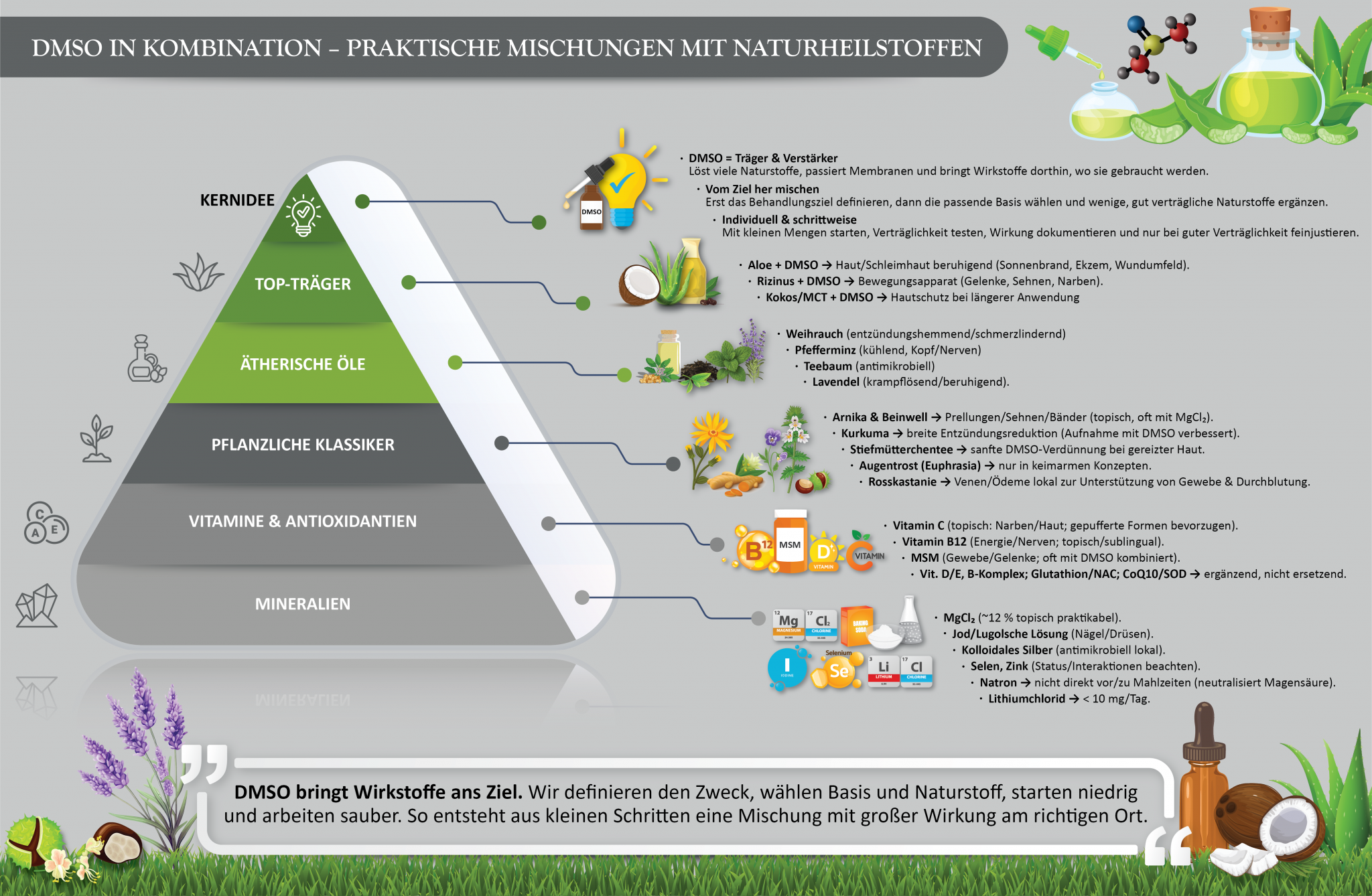 DMSO in Kombination – Praktische Mischungen mit Naturheilstoffen
