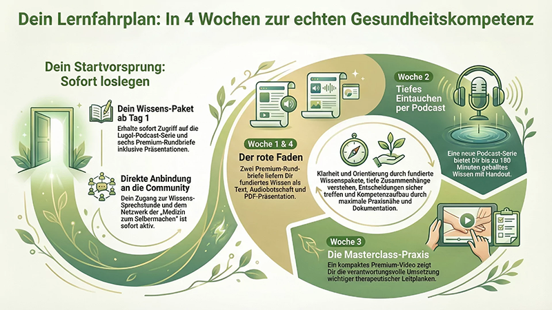Lernfahrplan-Deine-Gesundheitsschule